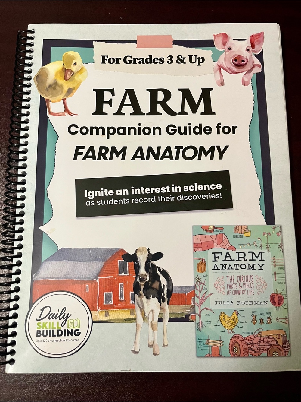 Farm Companion Guide for Farm Anatomy - White/Cream